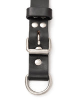 Premium Agitation Leather Dog Collar