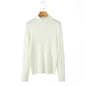 Plus Size Turtleneck Sweater Fine-Needle Knit Slim Pullover for Women Autumn Winter