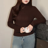 Plus Size Turtleneck Sweater Fine-Needle Knit Slim Pullover for Women Autumn Winter